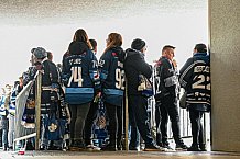 Eishockey, Herren, DEL, Saison 2021-2022, Playoff, Viertelfinale, Spiel 1, Straubing Tigers - Adler Mannheim, 10.04.2022