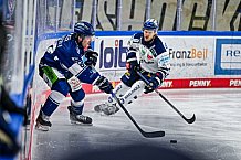 Eishockey, Herren, Penny DEL, 26. Spieltag, Saison 2023-2024, Straubing Tigers - Iserlohn Roosters,10.12.2023