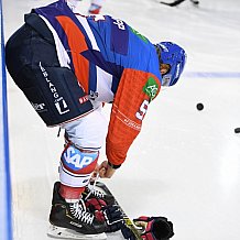 Eishockey, Herren, DEL, Saison 20202021, Straubing Tigers - Adler Mannheim, 22.01.2021