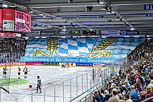 Eishockey, Men, CHL, Champions Hockey League, Regular Saison 2024-25, Game Day 2, Straubing Tigers - Skelleftea AIK, 08.09.2024