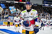 Eishockey, Men, DEL, Penny DEL, Hauptrunde Saison 2024-25, 5. Spieltag, Straubing Tigers - Eisbären Berlin, 01.10.2024