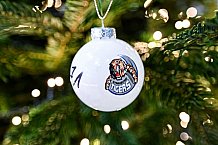 Eishockey, Herren, DEL, Saison 2021-2022, 10.12.2021