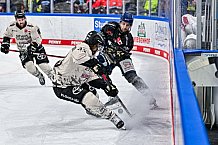Eishockey, Herren, Penny DEL, 47. Spieltag, Saison 2023-2024, Straubing Tigers - Koelner Haie,18.02.2024
