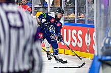 Eishockey, Men, CHL, Champions Hockey League, Regular Saison 2024-25, Game Day 2, Straubing Tigers - Skelleftea AIK, 08.09.2024