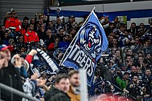 Eishockey, Herren, Penny DEL, Playoffs, Viertelfinale, Spiel 1, Saison 2023-2024, Straubing Tigers - Schwenninger Wild Wings,16.03.2024