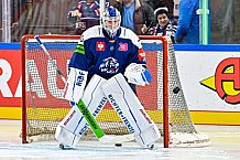Eishockey, Men, CHL, Champions Hockey League, Regular Saison 2024-25, Game Day 4, Straubing Tigers - Dynamo Pardubice, 15.09.2024