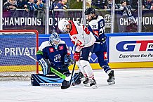 Eishockey, Men, CHL, Champions Hockey League, Regular Saison 2024-25, Game Day 4, Straubing Tigers - Dynamo Pardubice, 15.09.2024
