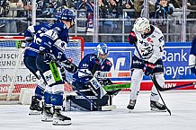 Eishockey, Herren, Penny DEL, 32. Spieltag, Saison 2023-2024, Straubing Tigers - Adler Mannheim,28.12.2023