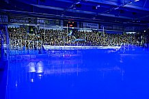 Eishockey, Herren, Penny DEL, 33. Spieltag, Saison 2023-2024, Straubing Tigers - Nürnberg Ice Tigers,30.12.2023