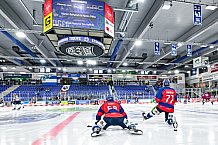 Eishockey, Herren, Penny DEL, 42. Spieltag, Saison 2023-2024, Straubing Tigers - Ingolstadt Panther,28.01.2024