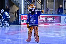 Eishockey, Herren, Penny DEL, Playoffs, Viertelfinale, Spiel 5, Saison 2023-2024, Straubing Tigers - Schwenninger Wild Wings,26.03.2024