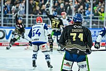 Eishockey, Herren, Penny DEL, 16. Spieltag, Saison 2023-2024, Straubing Tigers - Schwenninger Wild Wings,31.10.2023