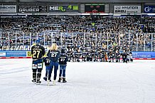 Eishockey, Herren, Penny DEL, 52. Spieltag, Saison 2023-2024, Straubing Tigers - Grizzlys Wolfsburg,08.03.2024