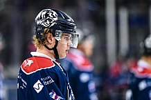 Eishockey, Herren, DEL, Saison 2021-2022, Playoff, Viertelfinale, Spiel 3, Straubing Tigers - Adler Mannheim, 14.04.2022