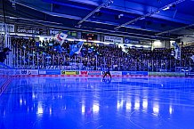 Eishockey, Herren, Penny DEL, Playoffs, Viertelfinale, Spiel 7, Saison 2023-2024, Straubing Tigers - Schwenninger Wild Wings,30.03.2024