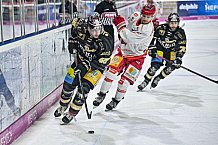 Herren, Eishockey, Oberliga-Süd, Saison 2022-2023, DEB, Deggendorfer SC - EV Herne Miners, Playoff, Viertelfinale, Spiel 4, 04.04.2023