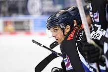 Straubing Tigers - Nürnberg Ice Tigers