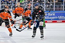Eishockey, Herren, Penny DEL, 52. Spieltag, Saison 2023-2024, Straubing Tigers - Grizzlys Wolfsburg,08.03.2024