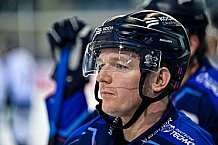 Eishockey, Herren, DEL, Saison 2023-2023, Straubing Tigers, Showtraining, 06.08.2022