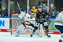 Eishockey, Herren, Penny DEL, 17. Spieltag, Saison 2023-2024, Straubing Tigers - EHC Red Bull Muenchen,03.11.2023