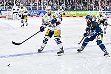 Eishockey, Herren, Penny DEL, Playoffs, Halbfinale, Spiel 2, Saison 2023-2024, Straubing Tigers - Eisbären Berlin, n03.04.2024