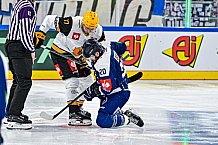 Eishockey, Men, CHL, Champions Hockey League, Regular Saison 2024-25, Game Day 2, Straubing Tigers - Skelleftea AIK, 08.09.2024
