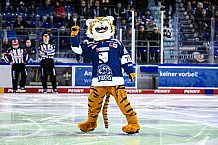 Eishockey, Herren, DEL, Saison 2021-2022, 05.11.2021