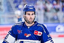 Eishockey, Herren, DEL, Penny DEL, Vorbereitung, Gäubodencup 2023, Saison 2023-2024, Straubing Tigers - Nürnberg Ice Tigers,18.08.2023