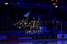 Eishockey, Men, CHL, Champions Hockey League, Regular Saison 2024-25, Game Day 4, Straubing Tigers - Dynamo Pardubice, 15.09.2024