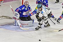 Herren, Eishockey, Oberliga-Sued, Saison 2023-2024, DEB, Deggendorfer SC - Bayreuth Tigers, 1. Spieltag, 28.09.2023