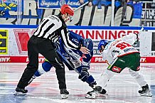Eishockey, Herren, Penny DEL, 40. Spieltag, Saison 2023-2024, Straubing Tigers - Augsburger Panther,21.01.2024