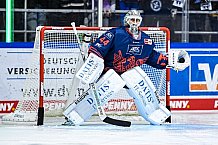 Eishockey, Herren, DEL, Saison 2021-2022, Straubing Tigers - Adler Mannheim, 10.09.2021