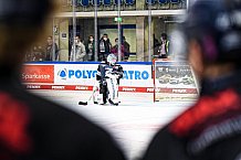 Eishockey, Herren, DEL, Saison 2021-2022, 01.10.2021