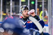 Eishockey, Men, DEL, Penny DEL, Hauptrunde Saison 2024-25, 8. Spieltag, Straubing Tigers - Adler Mannheim, 11.10.2024