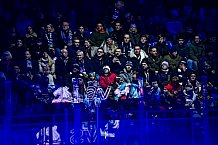 Eishockey, Herren, Penny DEL, 33. Spieltag, Saison 2023-2024, Straubing Tigers - Nürnberg Ice Tigers,30.12.2023