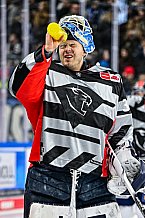 Eishockey, Herren, Penny DEL, 42. Spieltag, Saison 2023-2024, Straubing Tigers - Ingolstadt Panther,28.01.2024