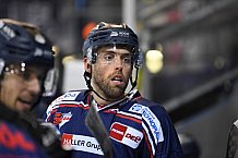 Straubing Tigers - Augsburger Panther