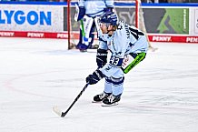 Eishockey, Herren, DEL, Penny DEL, Saison 2023-2024, Straubing Tigers, öffentliches Eistraining,06.08.2023