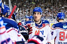 Eishockey, Herren, DEL, Saison 2021-2022, Playoff, Viertelfinale, Spiel 3, Straubing Tigers - Adler Mannheim, 14.04.2022
