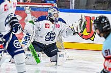 Eishockey, Men, CHL, Champions Hockey League, Regular Saison 2024-25, Game Day 1, Straubing Tigers - SonderjyskE Vojens, 06.09.2024