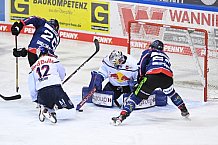 Eishockey, Herren, DEL, Saison 2020-2021, Straubing Tigers - EHC Red Bull München, 22.02.2021