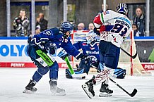 Eishockey, Men, DEL, Penny DEL, Hauptrunde Saison 2024-25, 5. Spieltag, Straubing Tigers - Eisbären Berlin, 01.10.2024