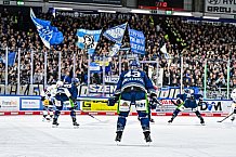 Eishockey, Herren, Penny DEL, Playoffs, Halbfinale, Spiel 2, Saison 2023-2024, Straubing Tigers - Eisbären Berlin, n03.04.2024