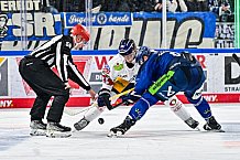 Eishockey, Men, DEL, Penny DEL, Hauptrunde Saison 2024-25, 5. Spieltag, Straubing Tigers - Eisbären Berlin, 01.10.2024