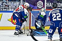 Eishockey, Men, CHL, Champions Hockey League, Regular Saison 2024-25, Game Day 4, Straubing Tigers - Dynamo Pardubice, 15.09.2024