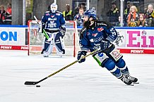 Eishockey, Herren, Penny DEL, Playoffs, Viertelfinale, Spiel 3, Saison 2023-2024, Straubing Tigers - Schwenninger Wild Wings,22.03.2024