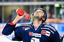Eishockey, Herren, DEL, Saison 2021-2022, Straubing Tigers - Adler Mannheim, 10.09.2021