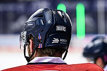 Eishockey, Herren, DEL, Saison 2021-2022, Panther, 21.12.2021