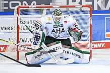 Straubing Tigers - Augsburger Panther