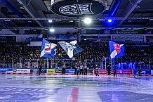 Eishockey, Herren, Penny DEL, 16. Spieltag, Saison 2023-2024, Straubing Tigers - Schwenninger Wild Wings,31.10.2023
